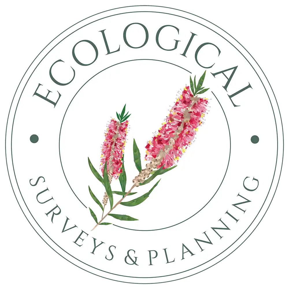 Ecological Surveys & Planning