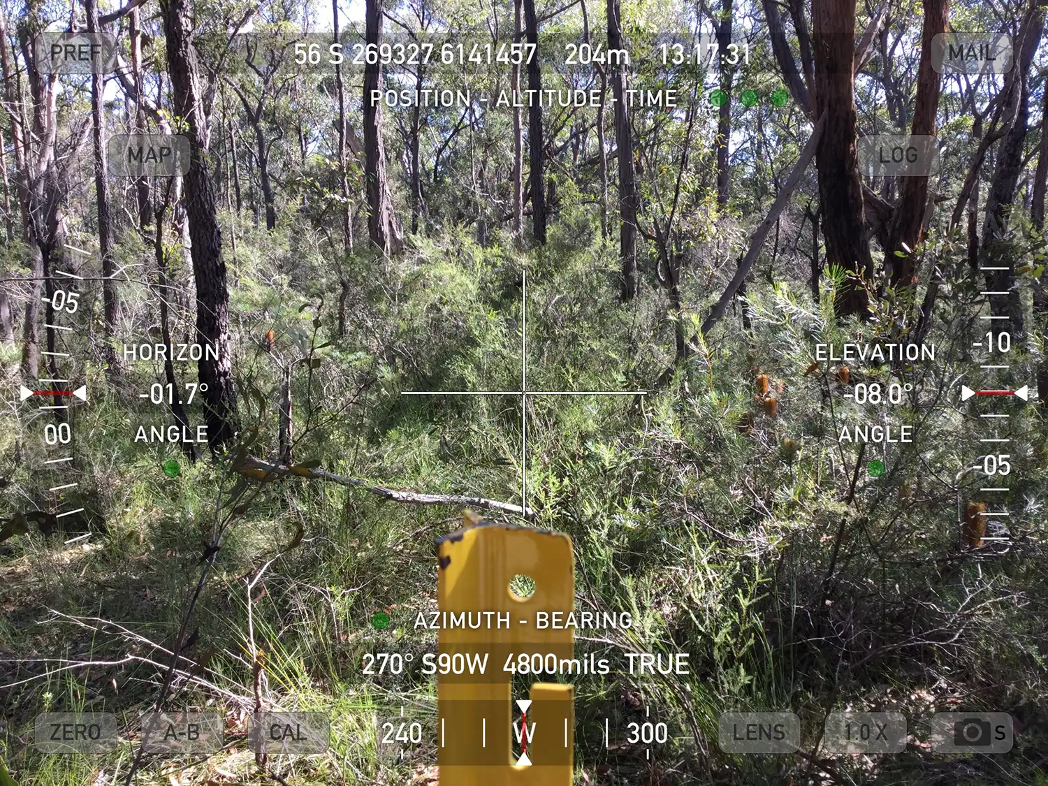 Ecological Surveys & Planning - Threatened Flora Research and Recommendations (Triplarina nowraenesis)