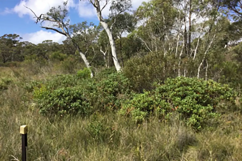 Ecological Surveys & Planning - Removal of Properties or Parts Thereof from the Biodiversity Values Map