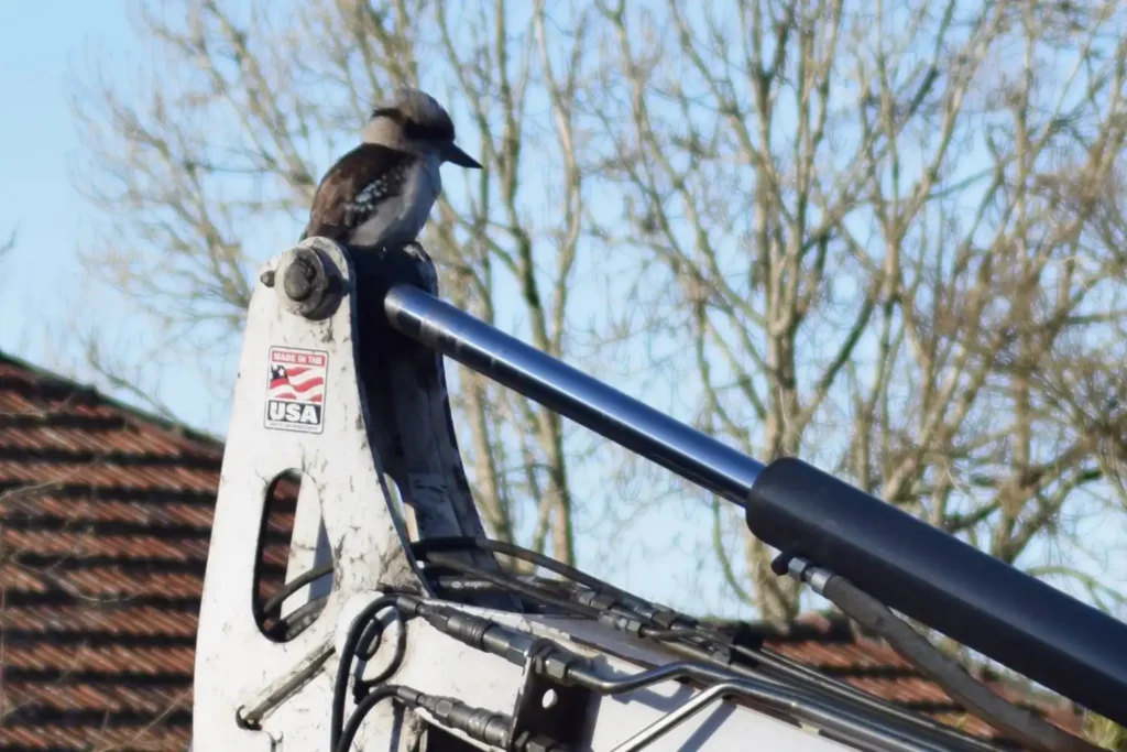 Ecological Surveys & Planning - Urban, Rural and Industrial Development Proposals