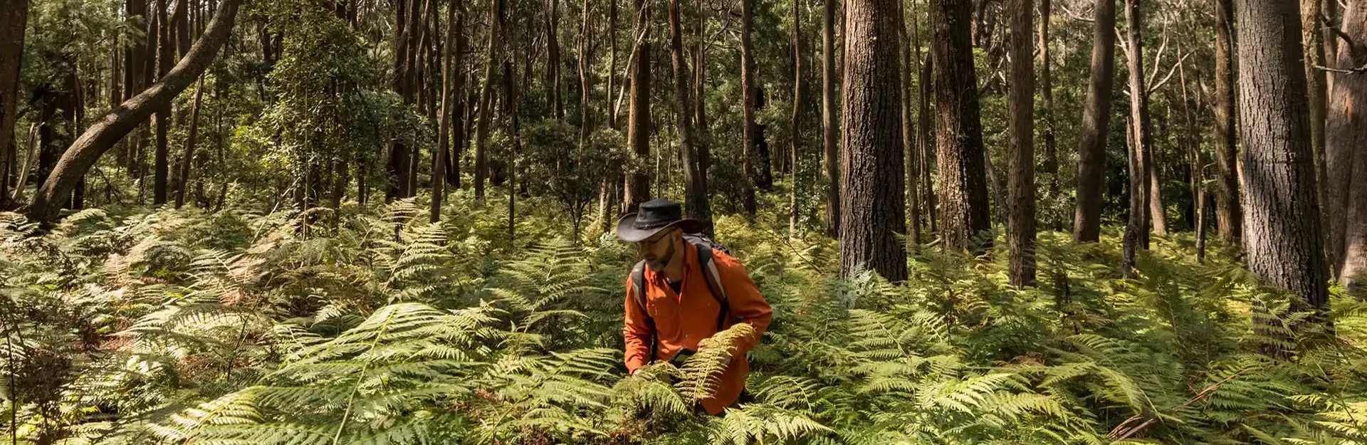 Ecological Surveys & Planning - Steve Douglas