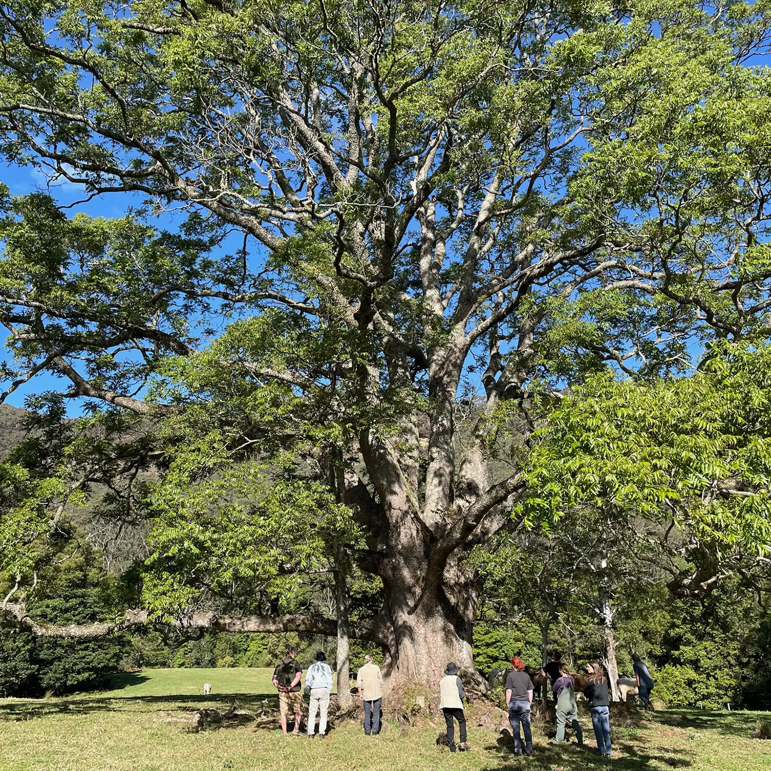 Ecological Surveys & Planning - Ecological Assessments