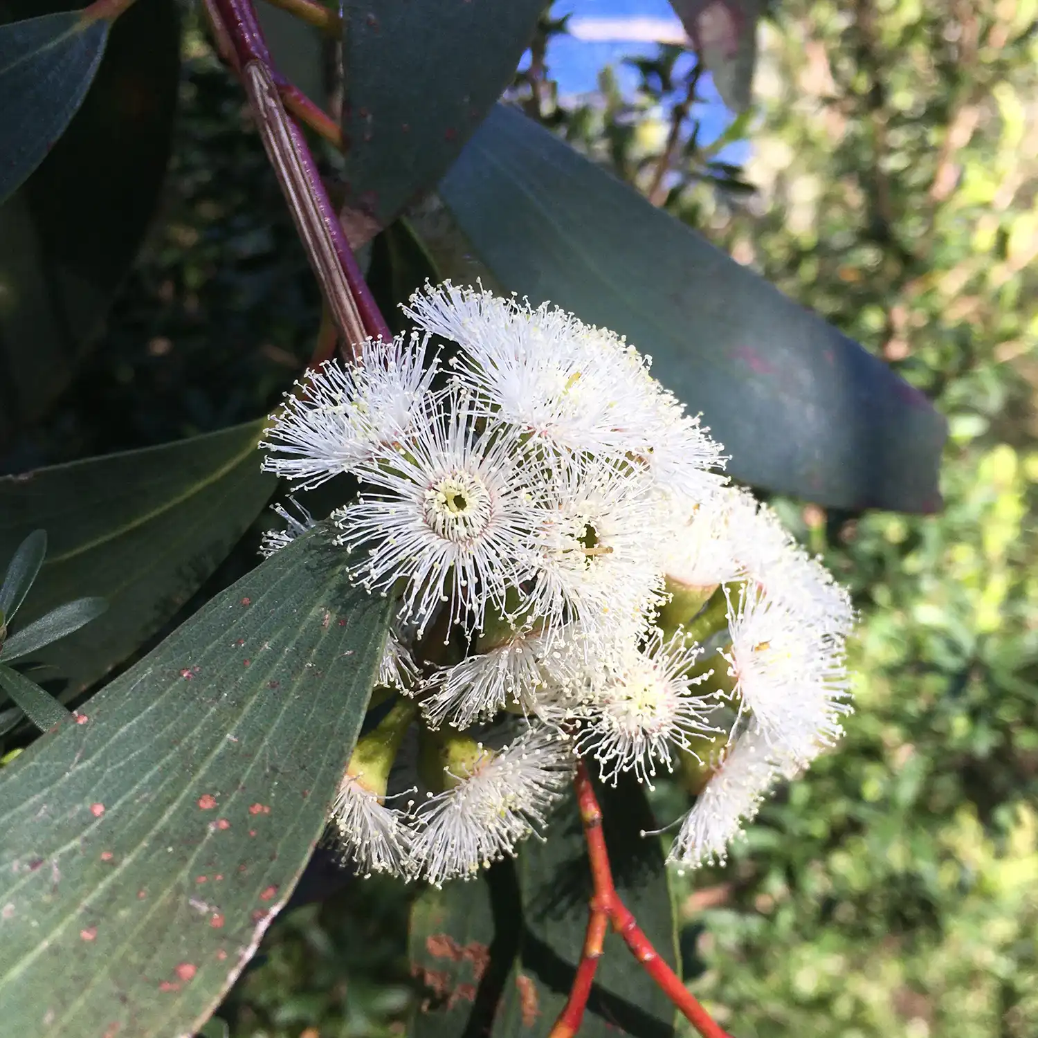 Ecological Surveys & Planning - Accreditation