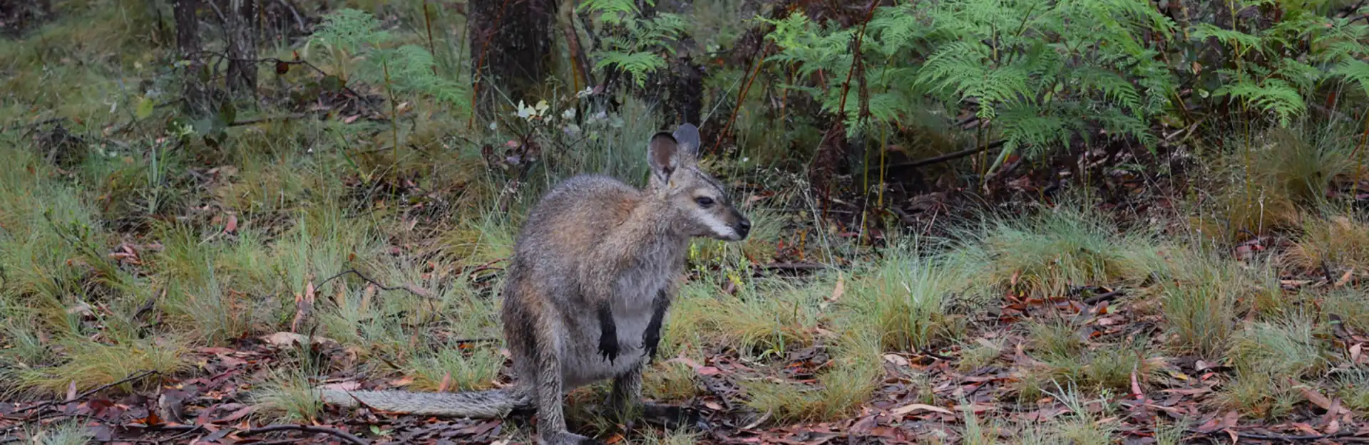 Ecological Surveys & Planning - Accreditation