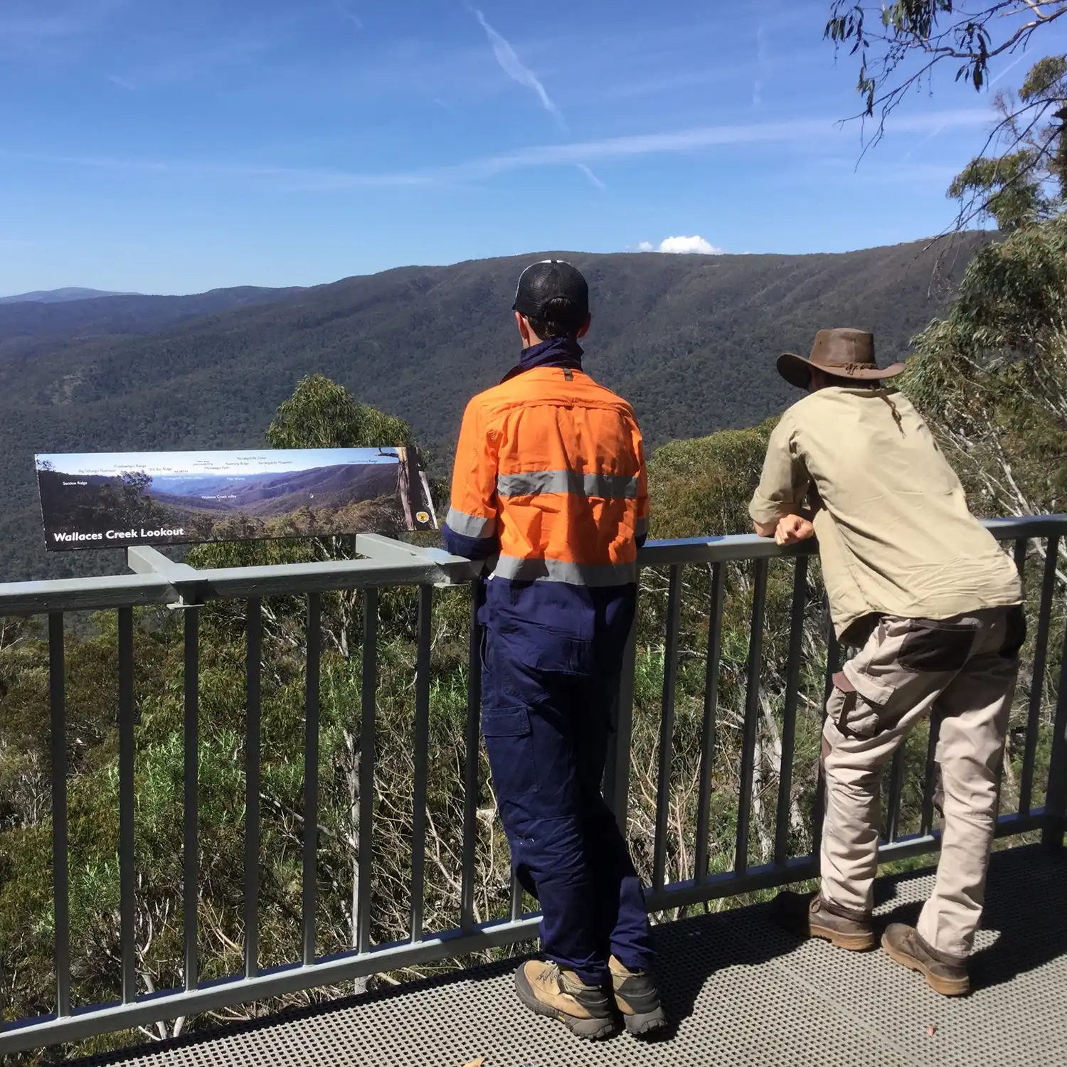 Ecological Surveys & Planning - Ethics & Practices