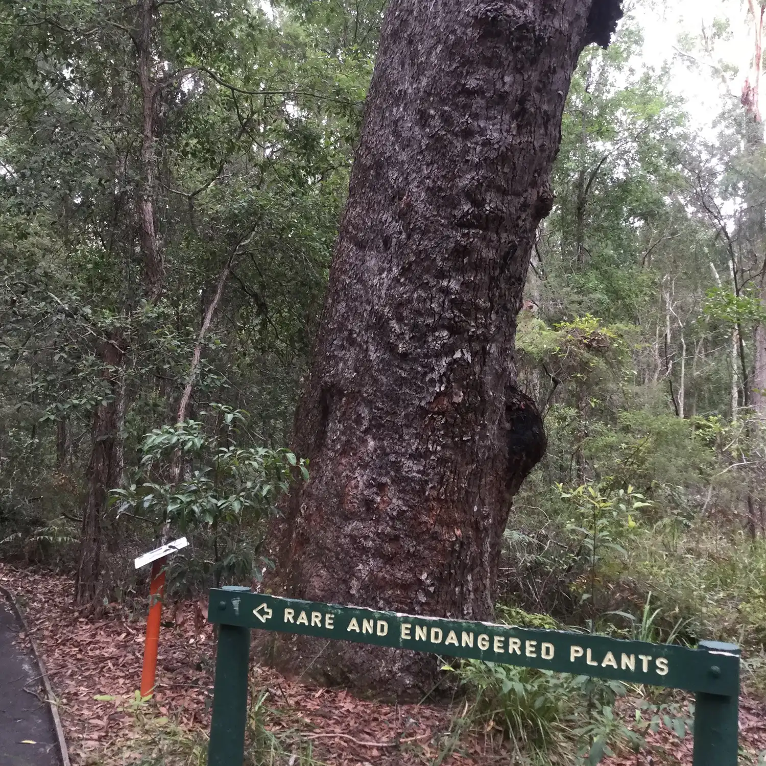Ecological Surveys & Planning - Research