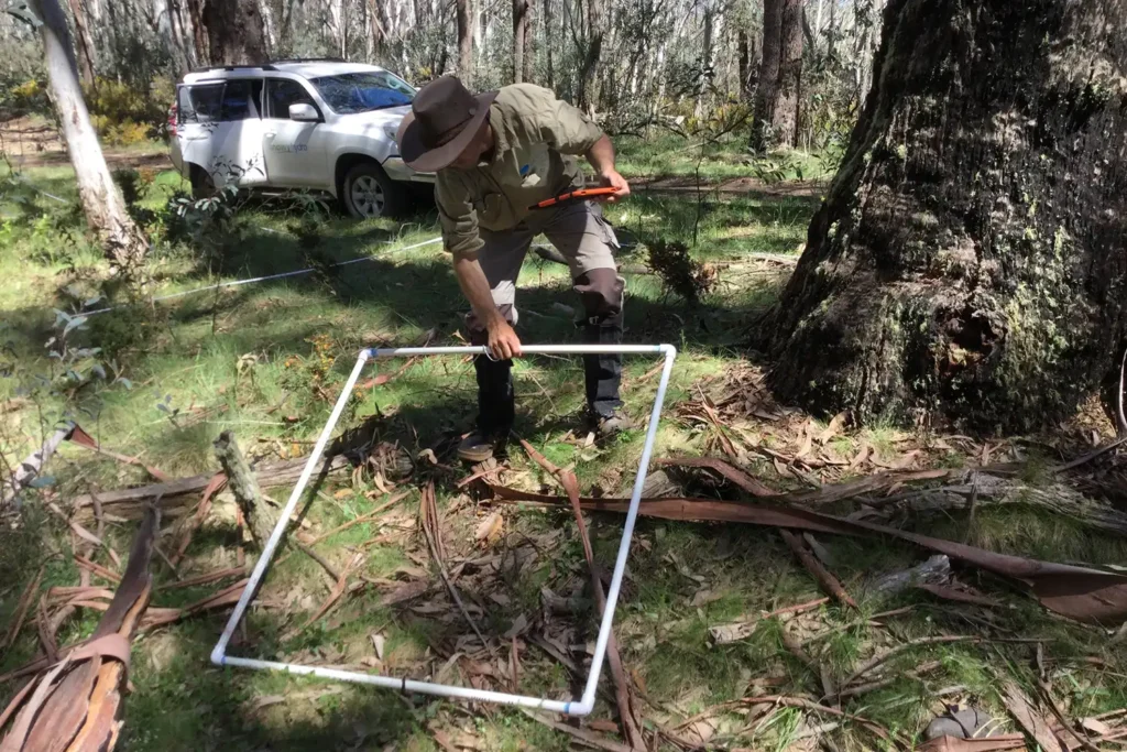 Ecological Surveys & Planning - Snowy Hydro 2.0 Vegetation Surveys
